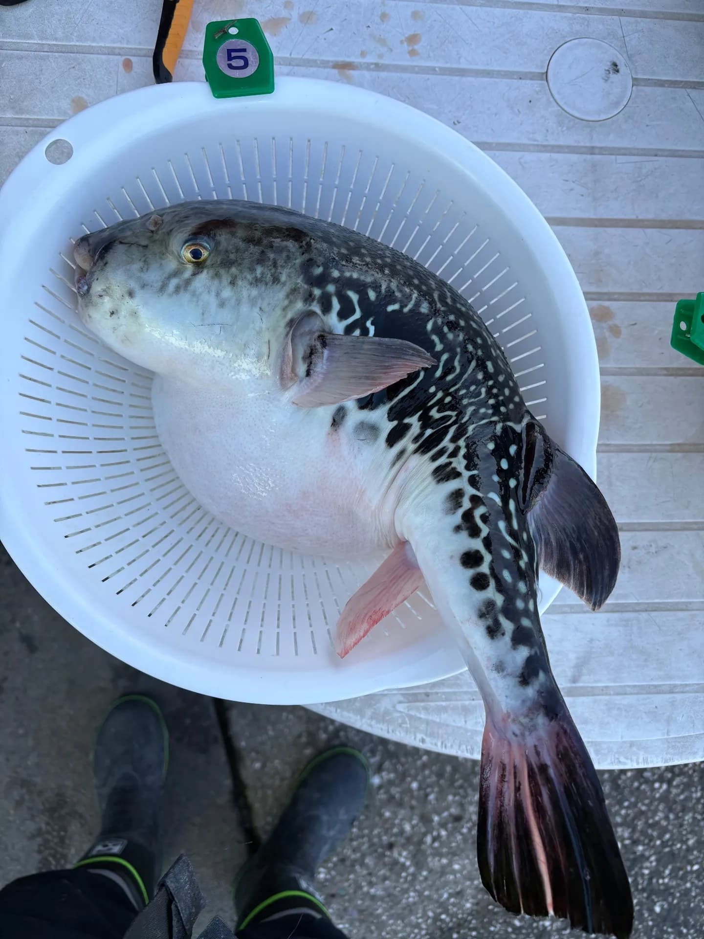 海太郎の乗船写真 1枚目