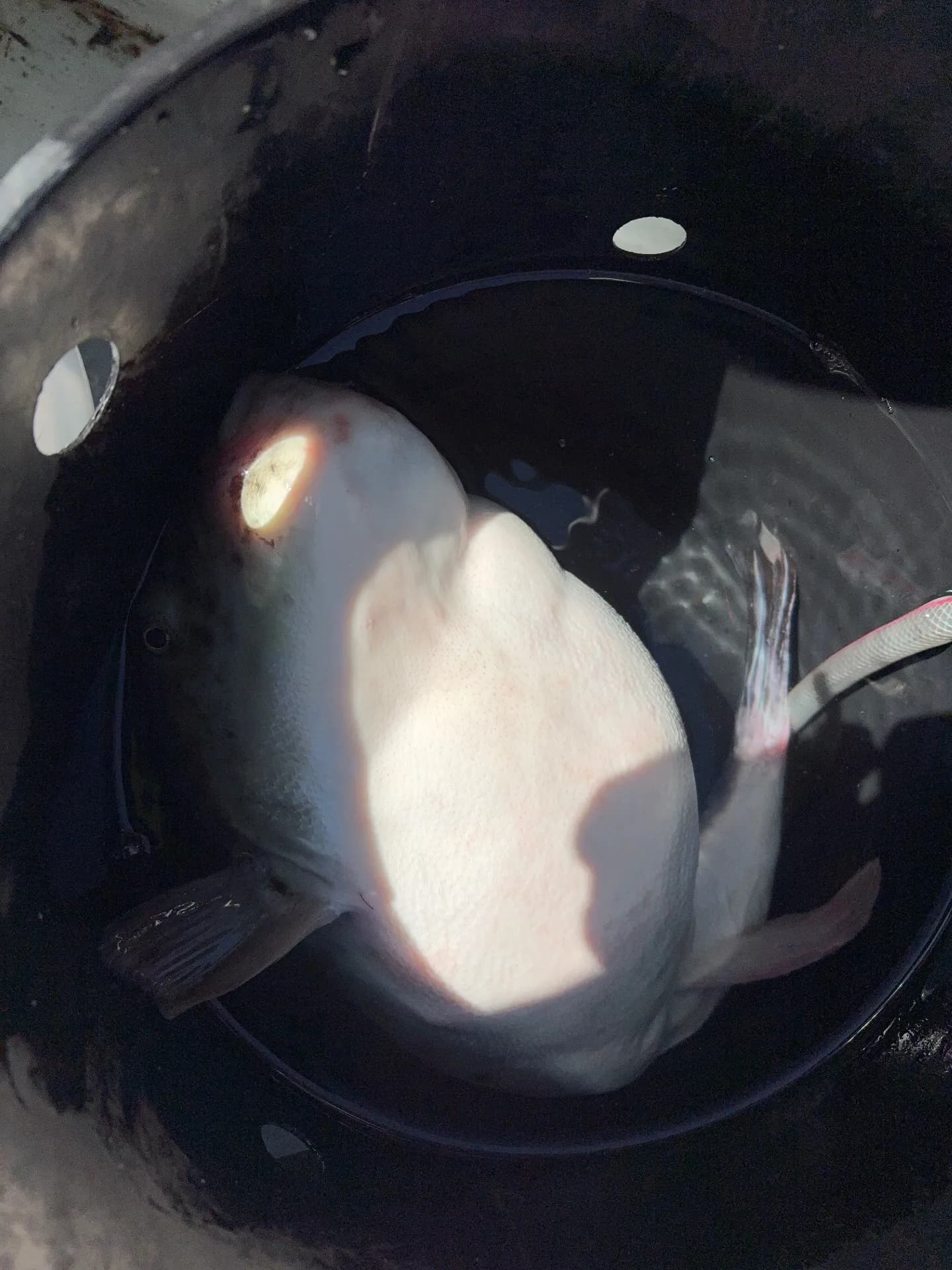 海太郎の乗船写真 2枚目