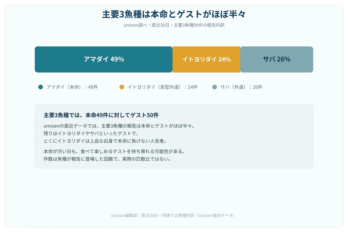 アマダイ船の魚種別報告を示す帯グラフ。本命アマダイ51%、イトヨリダイ23%、サバ25%で、本命とゲストがほぼ半々の図解