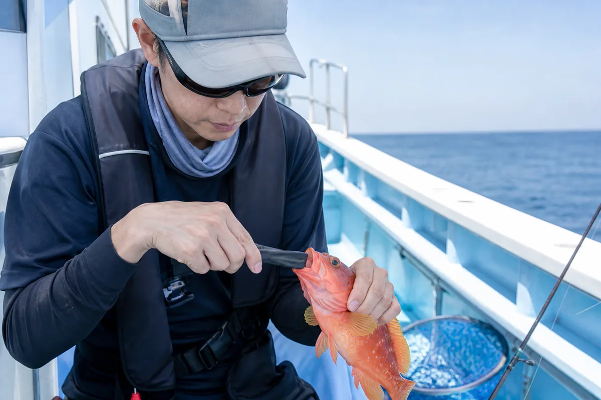 船上でアカハタの針を安全に外すため魚とフックから手を離す釣り人