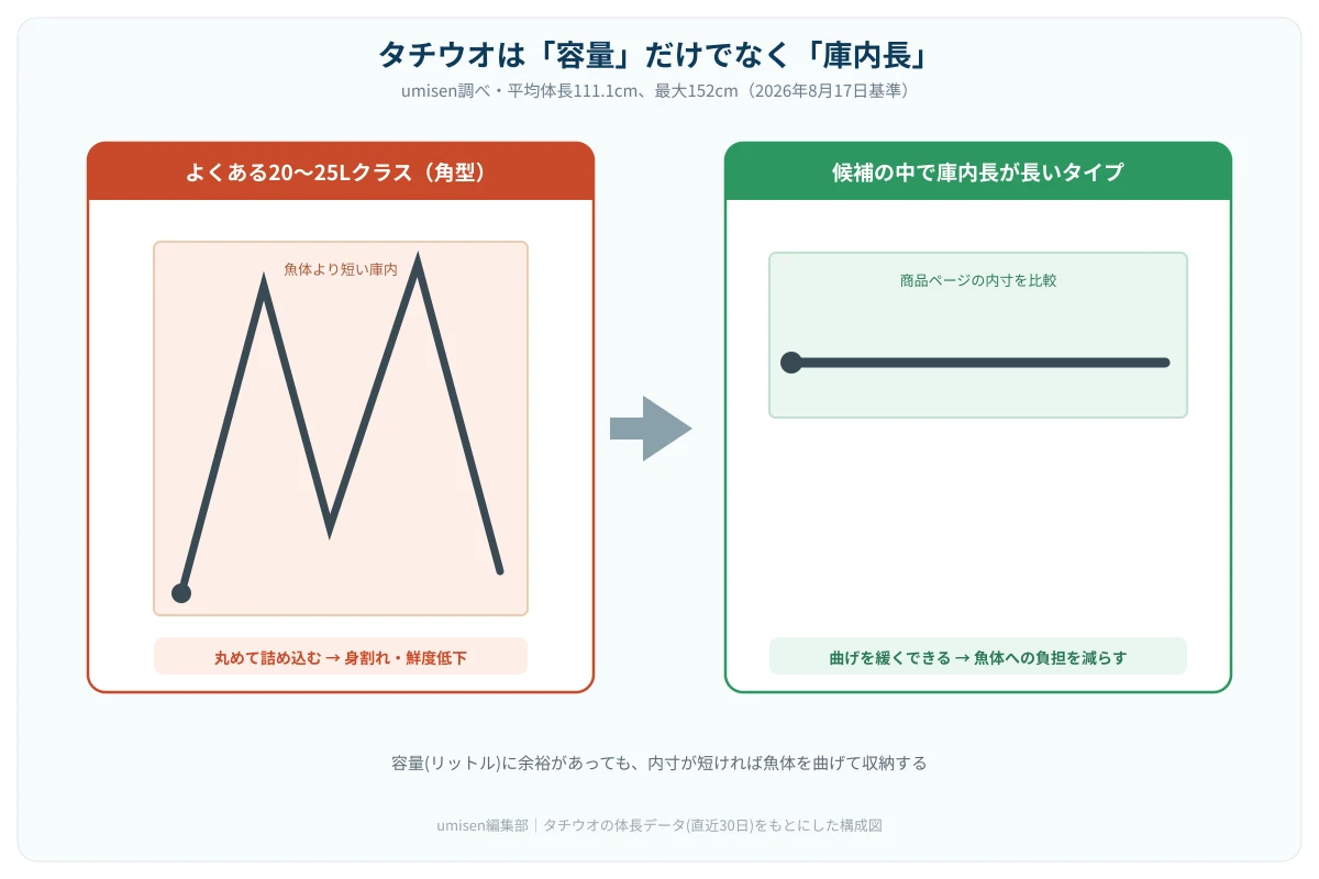 umisenが集計したタチウオの体長データをもとにした構成図。一般的な20Lクラス角型クーラーの庫内対角(約60cm)と、平均サイズ・最大級サイズのタチウオを並べ、丸めて収納せざるを得ない断面と、ロングタイプの庫内にまっすぐ収まる断面を対比させた図解