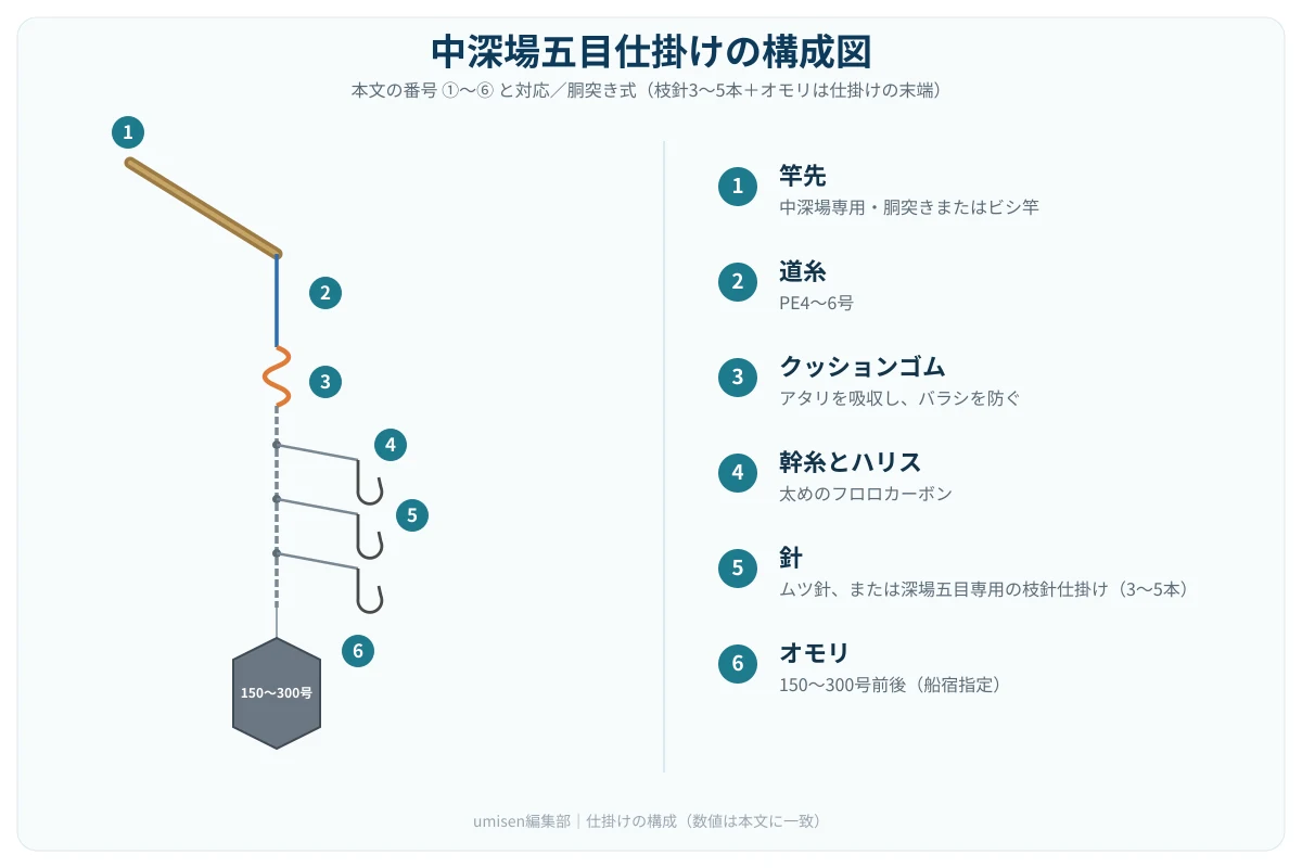 中深場五目仕掛けの構成図。①竿先②道糸③クッションゴム④幹糸とハリス⑤針⑥オモリを白丸番号で示した解説イラスト