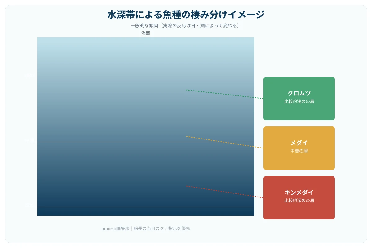 水深帯ごとのキンメダイ・クロムツ・メダイの生息イメージを示した断面図。浅い層にクロムツ、中間層にメダイ、深い層にキンメダイが多い傾向を海中の断面イラストで示している