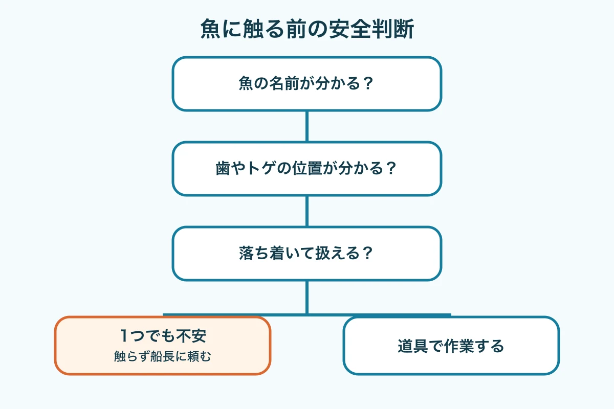 魚に触る前に、魚の名前、歯やトゲの位置、落ち着いて扱えるかを確認する安全判断図