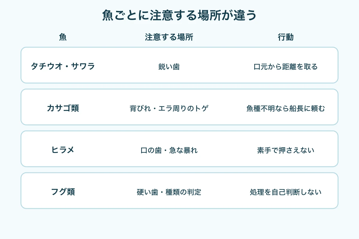 タチウオ、根魚、ヒラメ、フグの注意部位と推奨行動を示す比較図