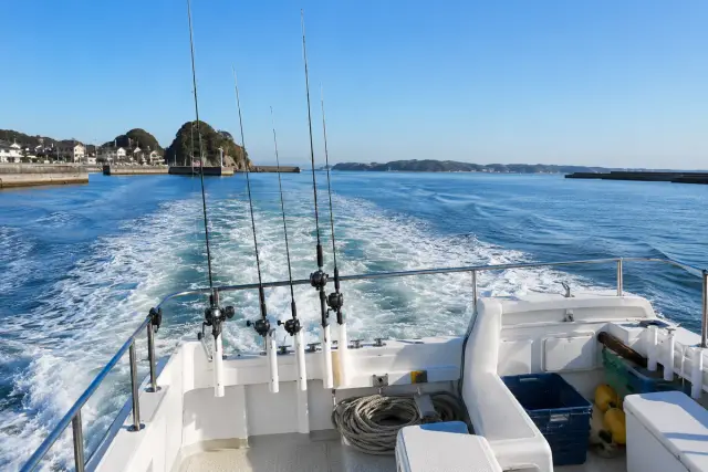 ヒラメ船の釣り方｜関東の泳がせ船 港別釣果ランキング【毎日更新】