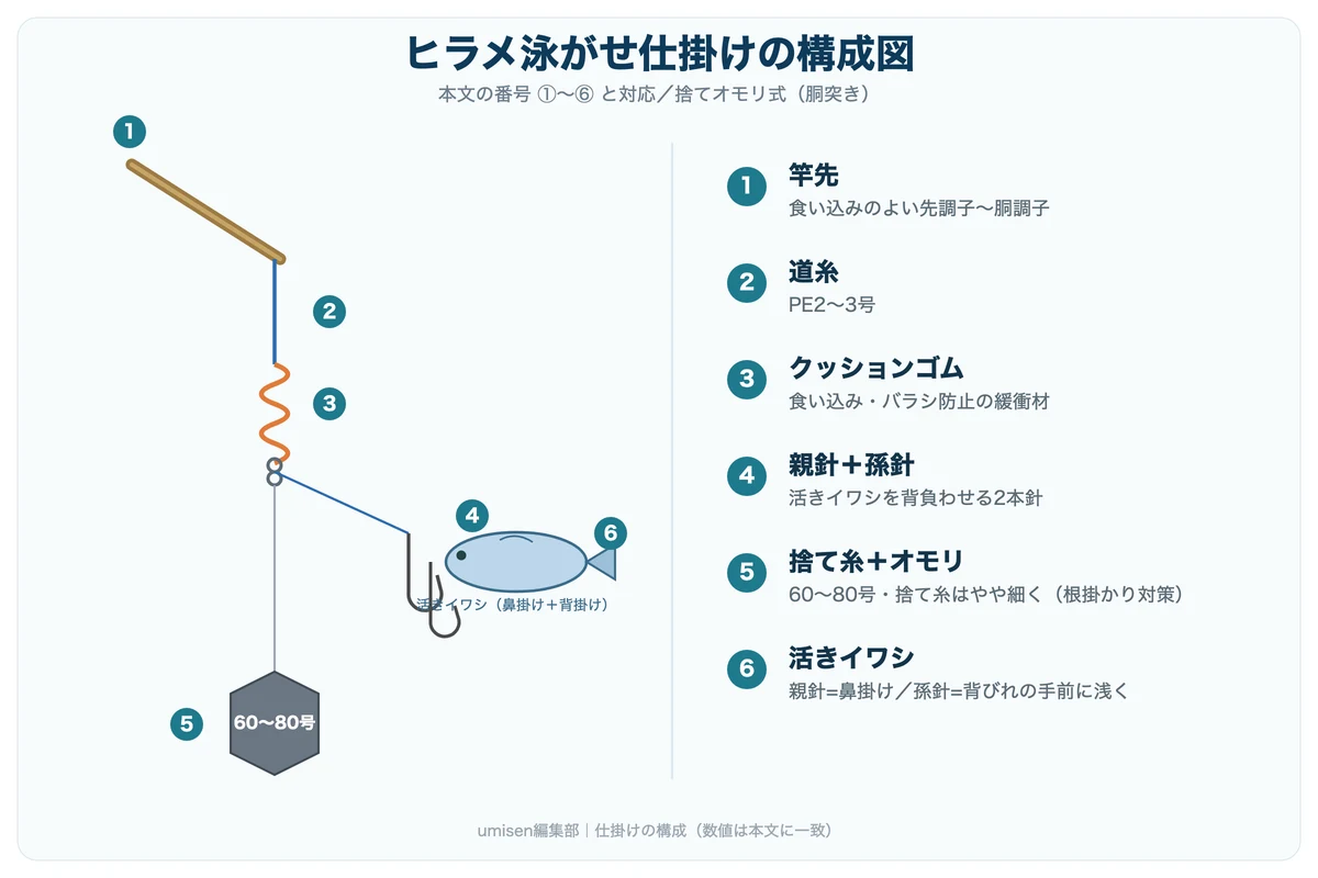 ヒラメ泳がせ仕掛けの構成図。①竿先②道糸③クッションゴム④親針と孫針⑤捨て糸とオモリ⑥活きイワシを白丸数字で示した解説イラスト