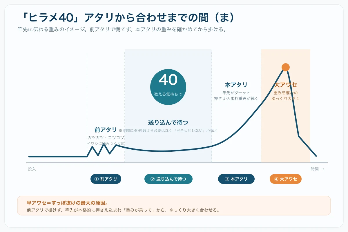 ヒラメ40の解説図。前アタリ、送り込んで待つ、本アタリ、大アワセまでの竿先に伝わる重みの変化を時間軸で示したグラフ