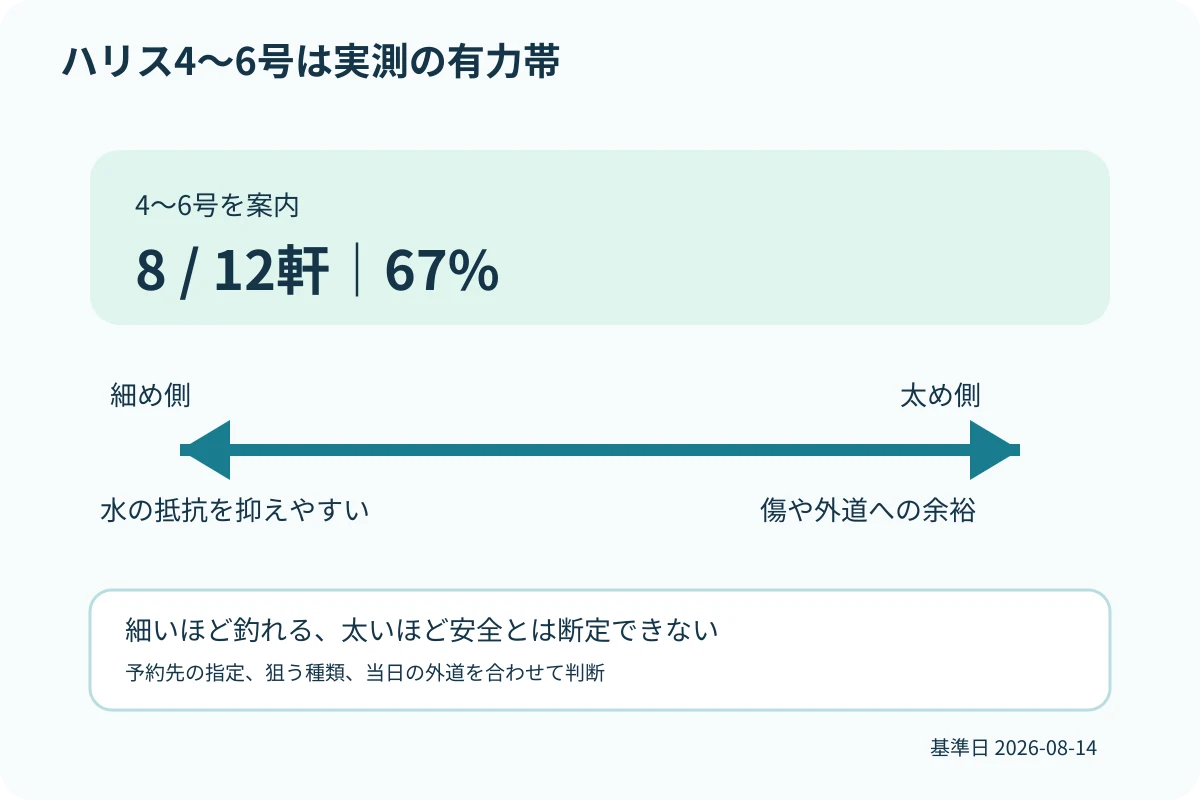 ヒラメのハリス4号から6号を食い込みと強度の判断軸で比較する図