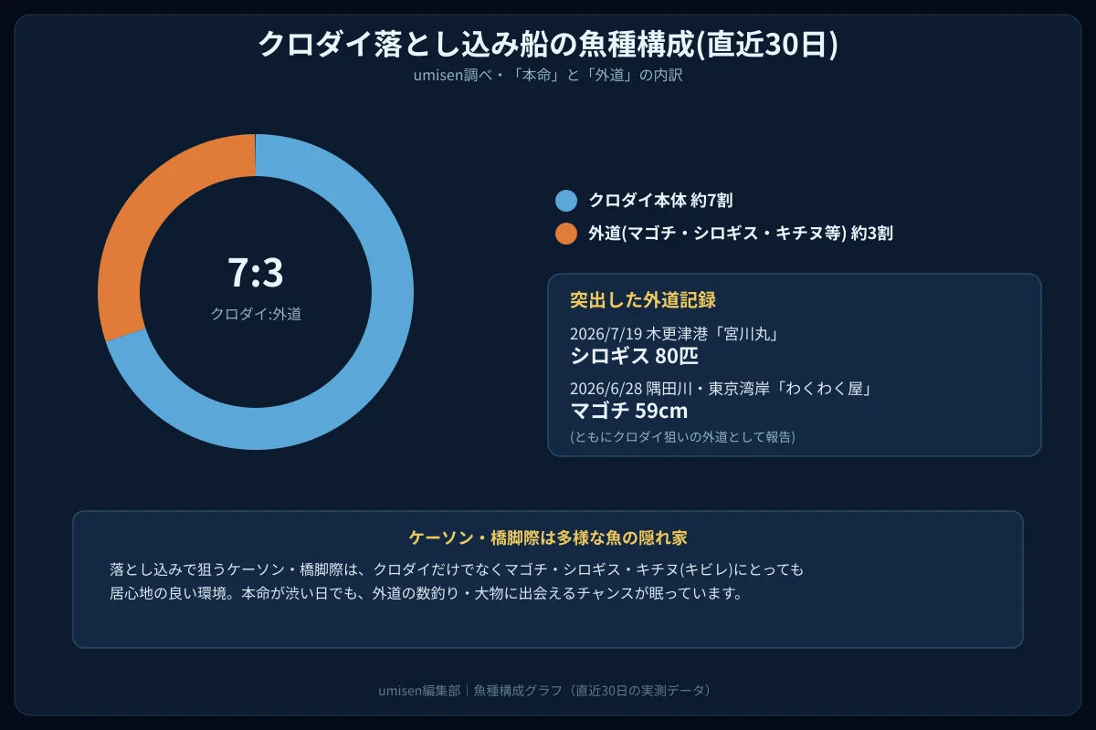 クロダイ落とし込み船の魚種構成を示すグラフ。クロダイ本体が約7割、マゴチ・シロギス・キチヌなどの外道が約3割を占める円グラフと、外道の突出記録をハイライトした表示