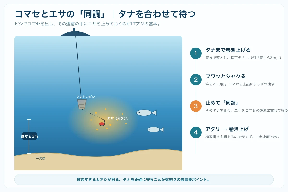 LTアジのコマセ釣りの仕組みを示した海中断面図。ビシでコマセを出し、その煙幕の中にエサを止めて同調させ、底から3mのタナで待つ