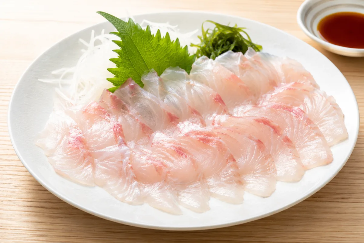 マダイの薄造りの刺身を白い和皿に美しく盛り付けた様子