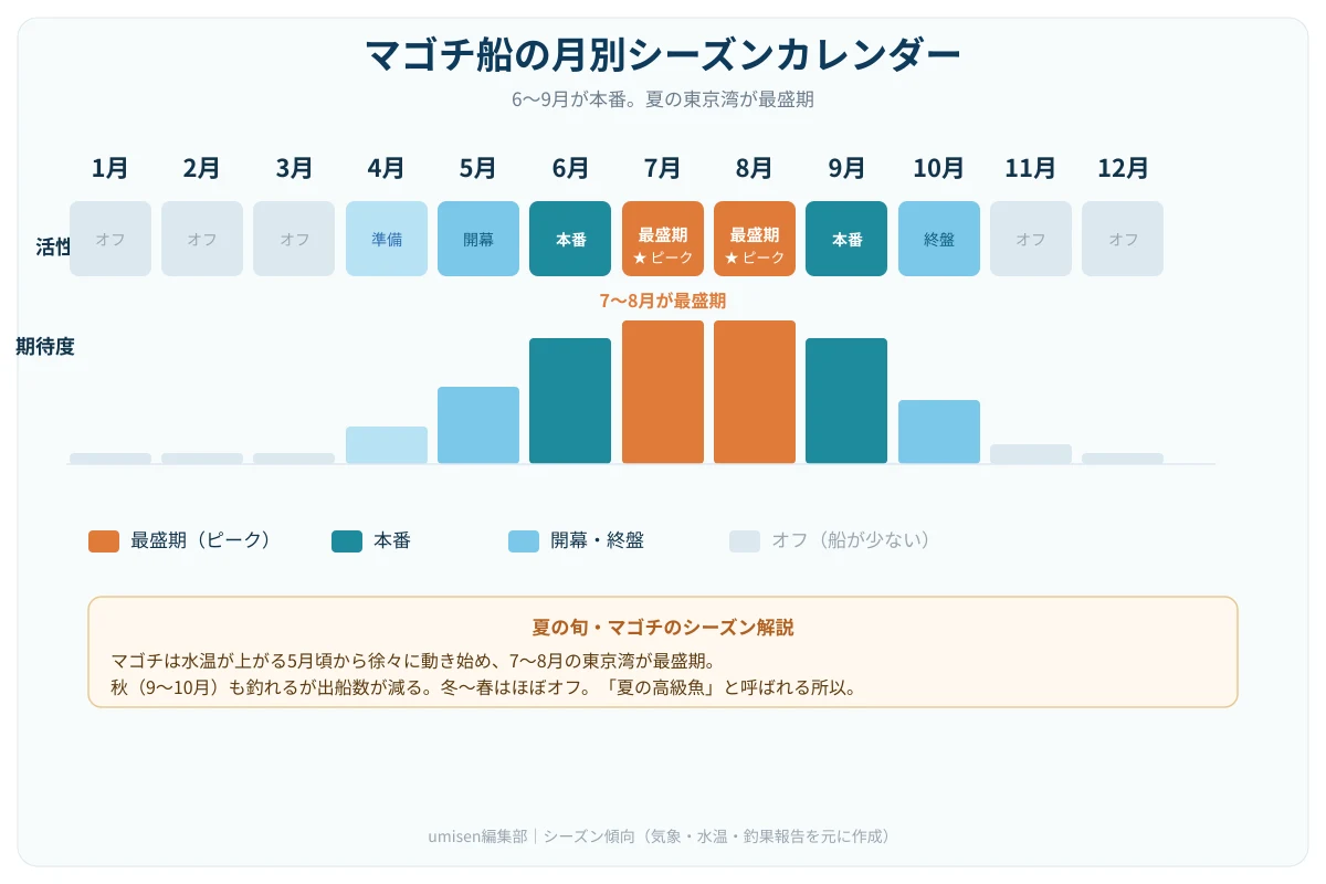 マゴチ船の月別シーズンカレンダー。1月から12月まで各月の活性を色分けで表示。6月から本番、7〜8月が最盛期（ピーク）、10月で終盤、11〜3月はオフ