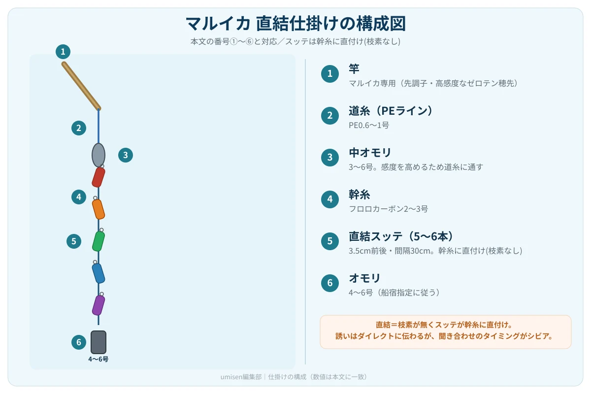 マルイカ船の直結仕掛け構成図。竿から道糸・中オモリ・幹糸・直結スッテ・オモリまでの全体像