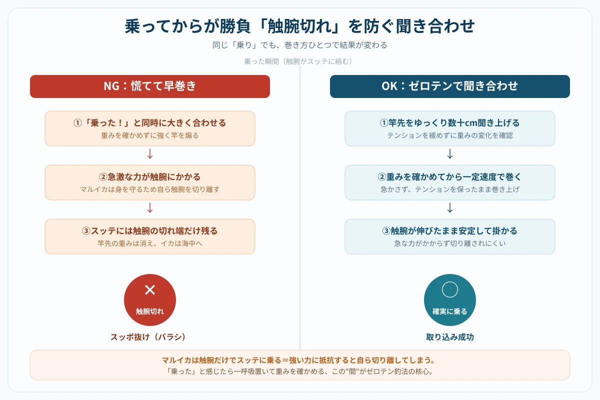 ゼロテンのアタリから合わせまでの流れを示す比較図解。早巻きだと触腕が切れて乗らないNG例と、聞き合わせで確実に掛けるOK例を対比
