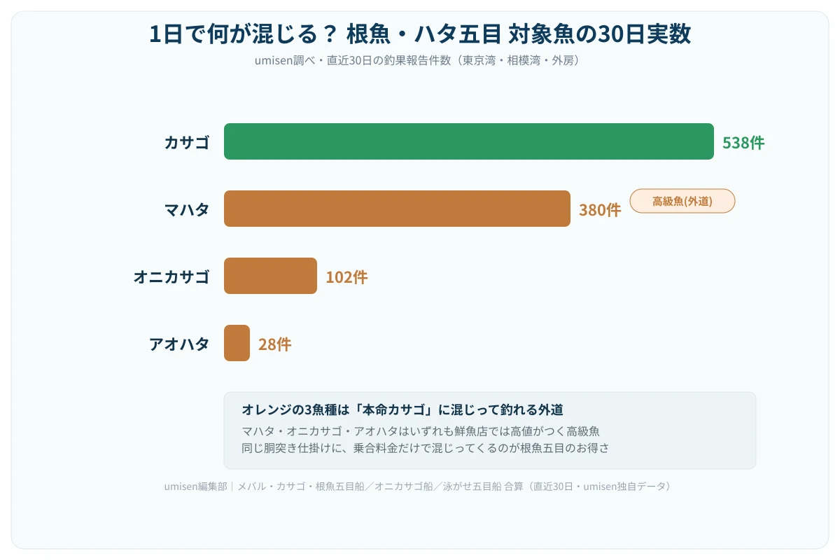 1日で何が混じるかを示す横棒グラフ。カサゴが538件で最も多く、次いでマハタが380件、オニカサゴが102件、アオハタが28件と続く。マハタ・オニカサゴ・アオハタには「高級魚(外道)」というバッジが付き、下部に「本命カサゴに混じって釣れる外道」という注釈ボックスがある