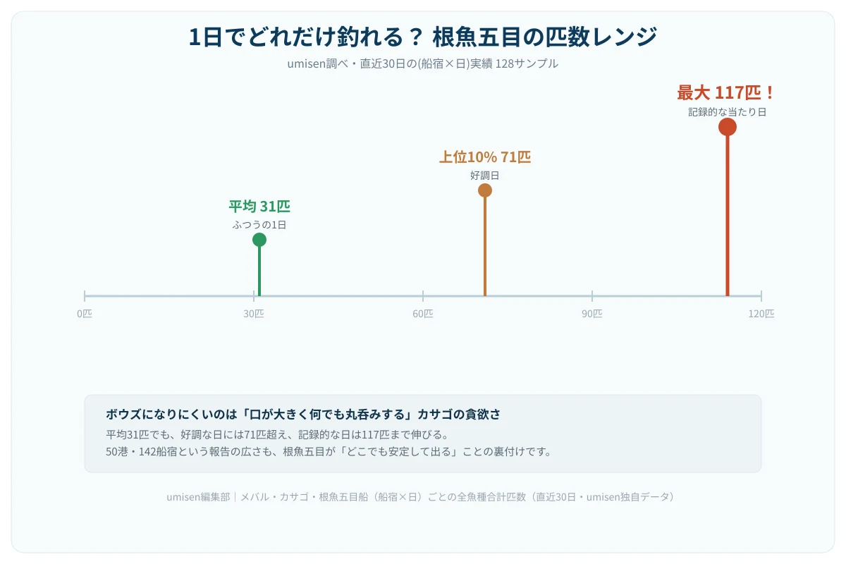 1日でどれだけ釣れるかを示す数直線グラフ。平均31匹の地点、上位10%の71匹の地点、そして最大117匹の地点に3つのマーカーがあり、右端の117匹には「記録的な当たり日」という注釈が付いている