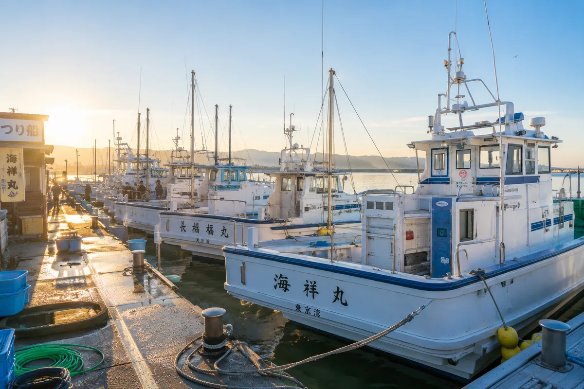 東京湾・相模湾の根魚・ハタ五目船が出船する港の朝の様子。複数の乗合船が並ぶ桟橋に、朝日が差し込む明るく清潔感のある写真