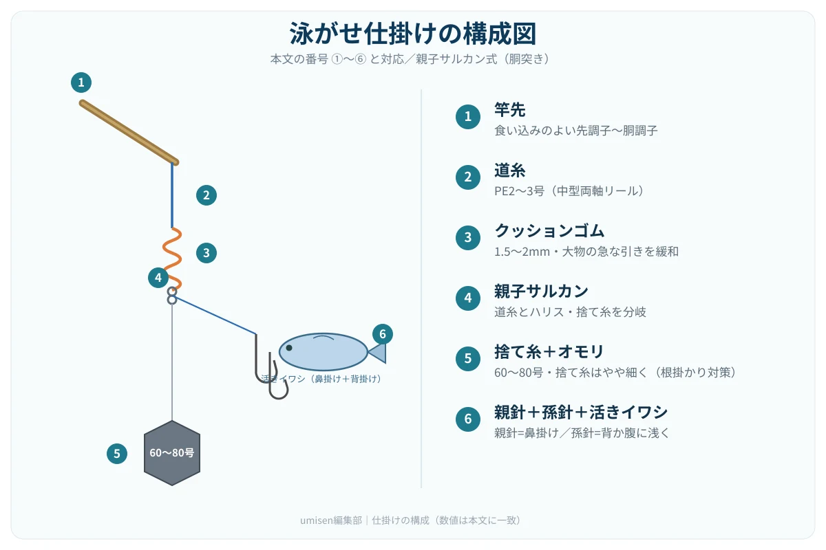 泳がせ五目仕掛けの構成図。竿先からリール・クッションゴム・親子サルカンと続き、親針で鼻掛けした活きイワシに孫針を添え、一番下に捨て糸とオモリがある仕掛け全体の図解