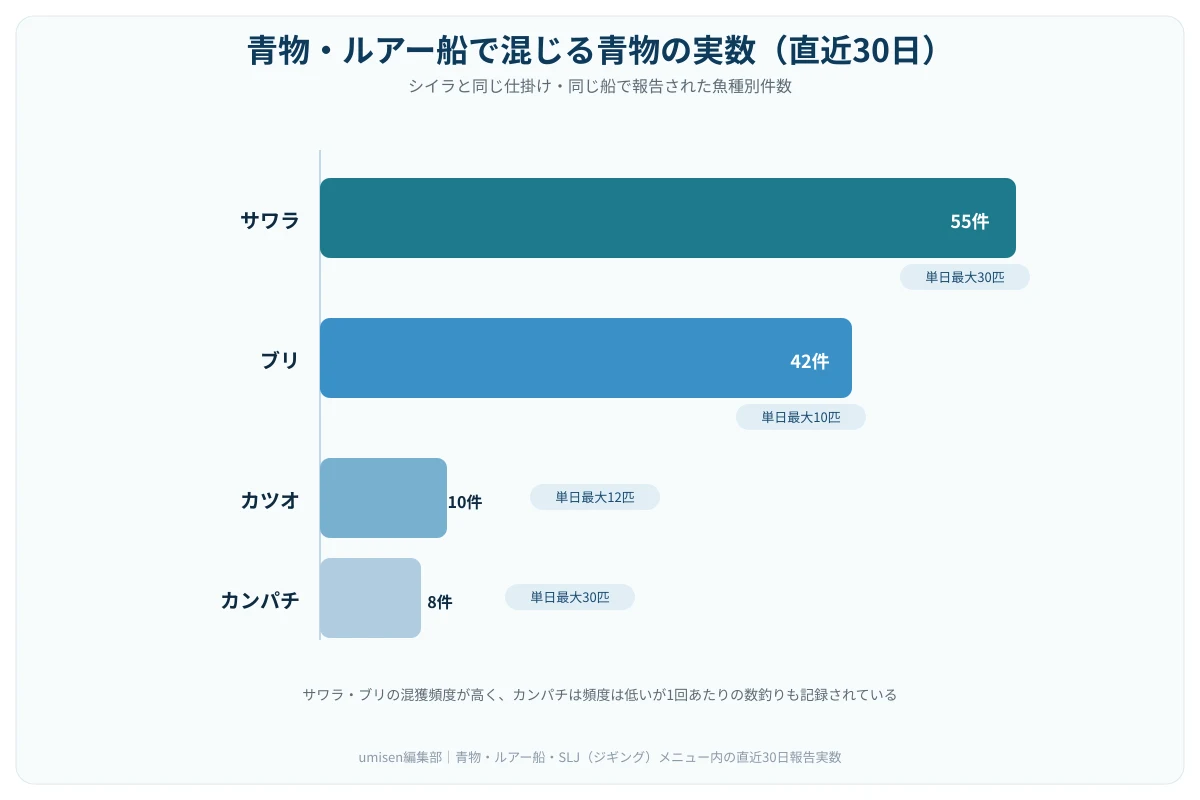青物・ルアー船で混じる魚種別の報告件数を示す横棒グラフ。サワラとブリが上位を占め、カツオ・カンパチが続く構成の比較図