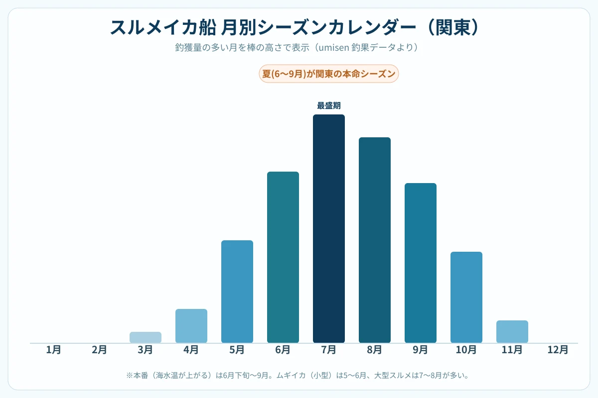 スルメイカ月別シーズンカレンダー。6月下旬〜9月が夏の最盛期と示すグラフ