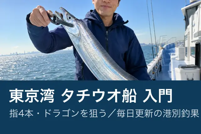 タチウオ テンヤの釣り方｜東京湾の港別釣果ランキング【毎日更新】