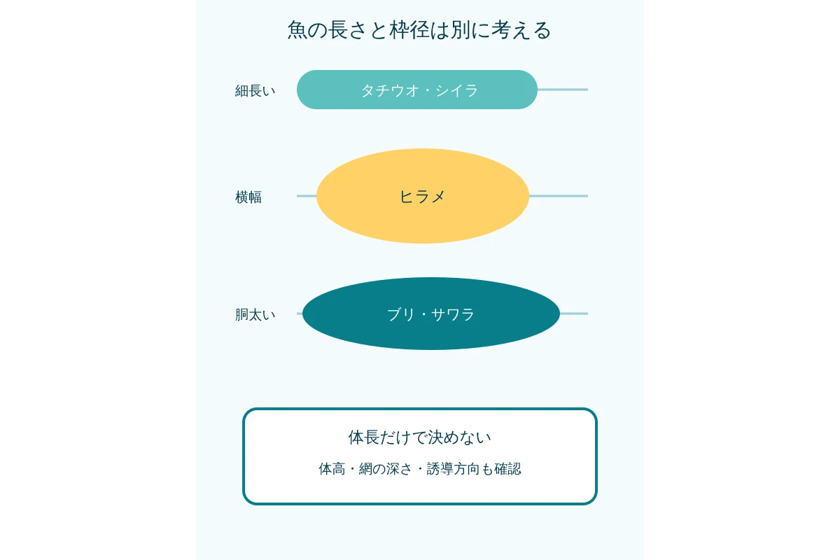 大型魚6種のサイズ中央値と90パーセンタイルを比べる図
