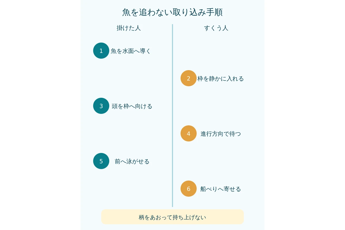 魚の頭を枠へ誘導する6段階の取り込み手順図