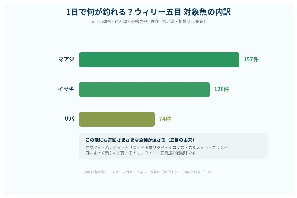 ウィリー五目で釣れる魚種の内訳を示す横棒グラフ。マアジが157件で最も多く、次いでイサキが128件、サバが74件と続く。その下に「この他にも毎回さまざまな魚種が混ざる」という注釈ボックスがある